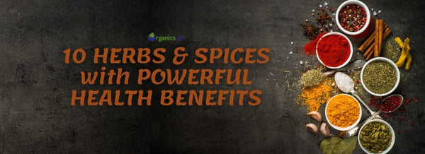 10 Herbs and Spices With Powerful Health Benefits