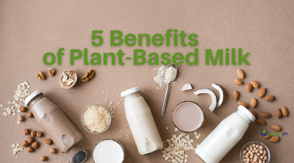 Benefits of Plant-Based Milk