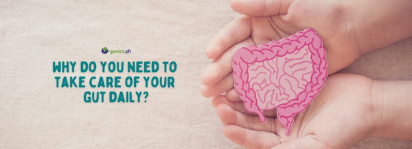 WHY DO YOU NEED TO TAKE CARE OF YOUR GUT DAILY?