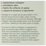 Youtheory Marine Collagen 2500 mg (290 tablets) - Organics.ph