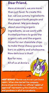 Annie's Organic Chewy Granola Bars - Peanut Butter Chocolate Chip (151g) - Organics.ph