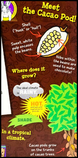 Annie's Organic Crispy Snack Bar - Cocoa (110g) - Organics.ph