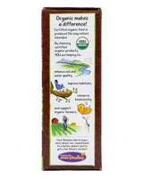 Annie's Organic Crispy Snack Bar - Cocoa (110g) - Organics.ph