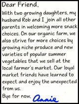 Annie's Organic Crispy Snack Bar - Original (110g) - Organics.ph