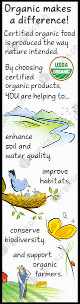 Annie's Organic Macaroni & Cheese - Shells & Real Aged Cheddar (170g) - Organics.ph