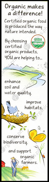 Annie's Organic Macaroni & Cheese - Shells & White Cheddar (170g) - Organics.ph