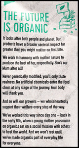 Ceres Organics Brown Rice Flour (800g) - Organics.ph