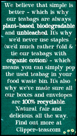 Clipper Organic Tea - After Dinner Mints - Double Mint, Fennel (20 bags) - Organics.ph