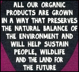 Clipper Organic Tea - Detox Infusion - Hibiscus, Liquorice Root, Nettle, Aloe Vera (20 bags) - Organics.ph