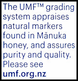 Manuka Health Manuka Honey MGO 250+ (500g) - Organics.ph