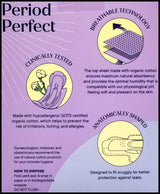 Nala Organic Biodegradable Sanitary Pads - Night (10 pads) - Organics.ph