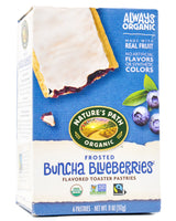 Nature's Path Organic Toaster Pastries - Frosted Buncha Blueberries (312g) - Organics.ph