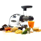 Omega Horizontal Slow Juicer - Organics.ph
