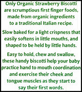 Only Organic Baby Snacks 10+ months - Strawberry Biscotti (100g) - Organics.ph