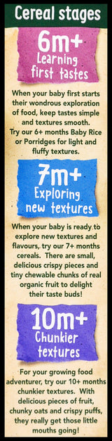 Organix Fruity Apple Porridge (120g) - Organics.ph