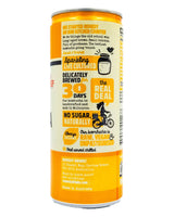 Remedy Organic Kombucha Ginger Lemon (250ml can) - Organics.ph