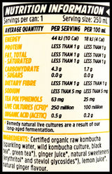 Remedy Organic Kombucha Ginger Lemon (250ml can) - Organics.ph