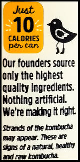 Remedy Organic Kombucha Ginger Lemon (250ml can) - Organics.ph