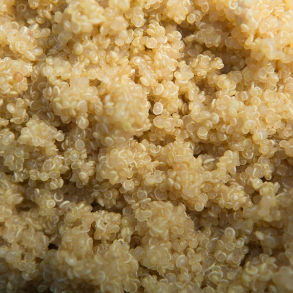 7 Benefits Of Quinoa: The Supergrain Of The Future