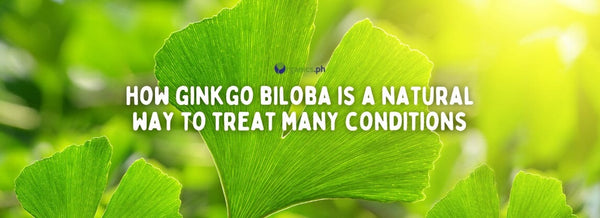 How Ginkgo Biloba Is a Natural Way to Treat Many Conditions