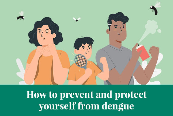 What you can do to protect yourself and your family from Dengue Fever?