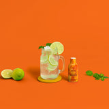 Vital Zing Soda Drops (Natural Flavouring for Soda Water) - Ginger Beer (40 ml) - Organics.ph