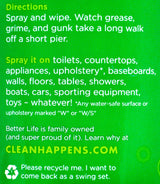 Better Life Natural All - Purpose Cleaner - Clary Sage & Citrus (946ml) - Organics.ph