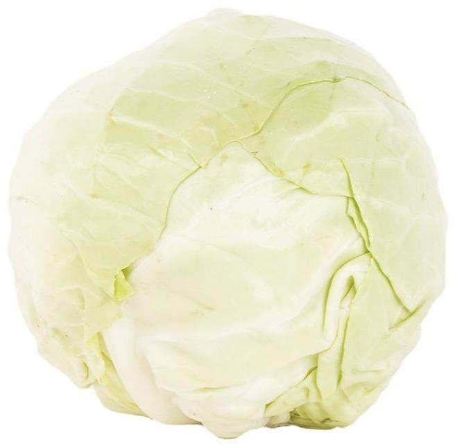 Cabbage Green (750grams) - Organics.ph