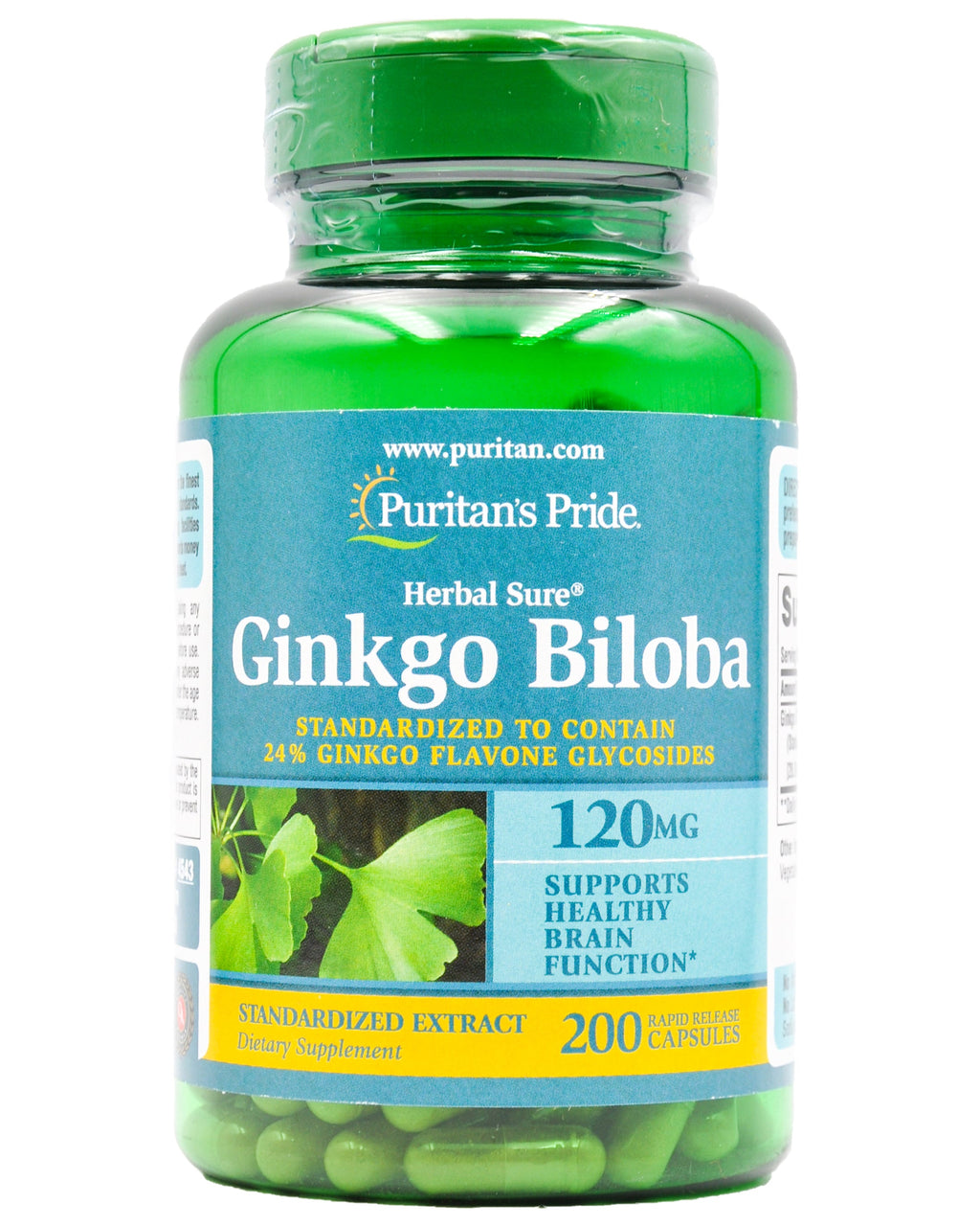 Ginkgo Biloba UK Ginkgo Biloba UK