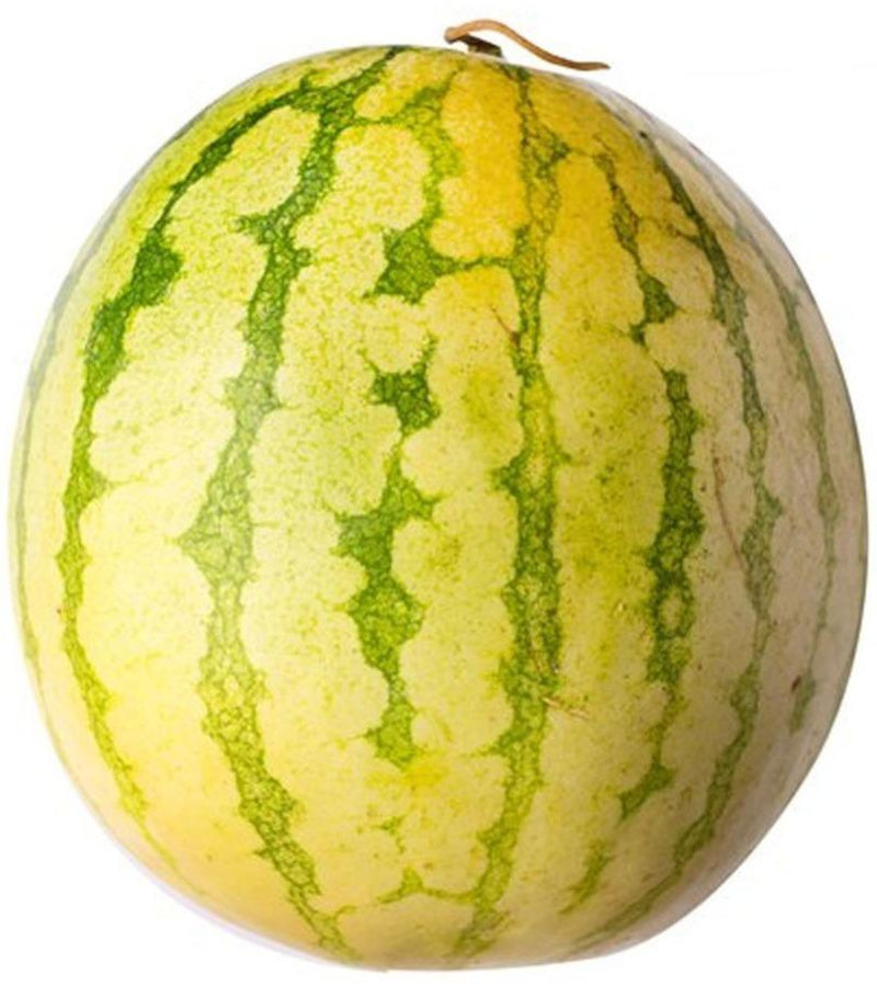 Watermelon Champion (5kg per piece) - Organics.ph