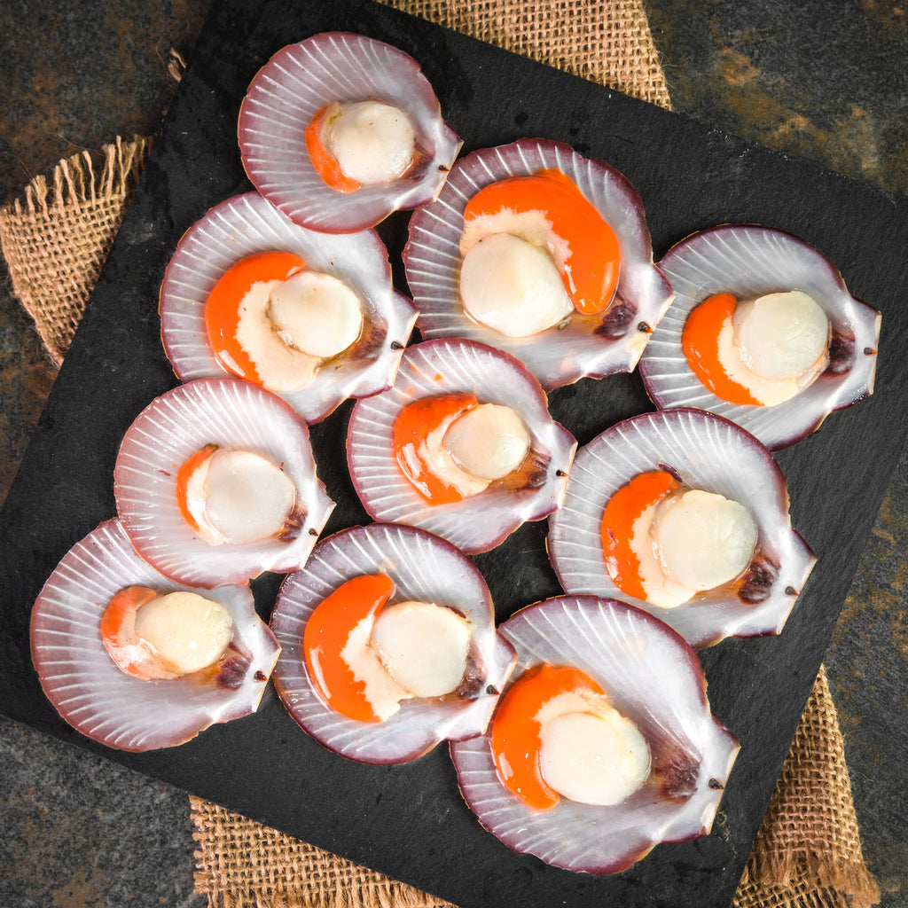 Scallop Shell Inlay Sea Scallops In Shell