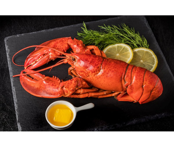 Wildcaught Seafood Canadian Cooked Lobster (1 pc, 400-450g) - Ready to Eat - Organics.ph